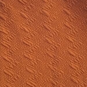 🔥3/$36NWT LulaRoe Cassie Skirt L